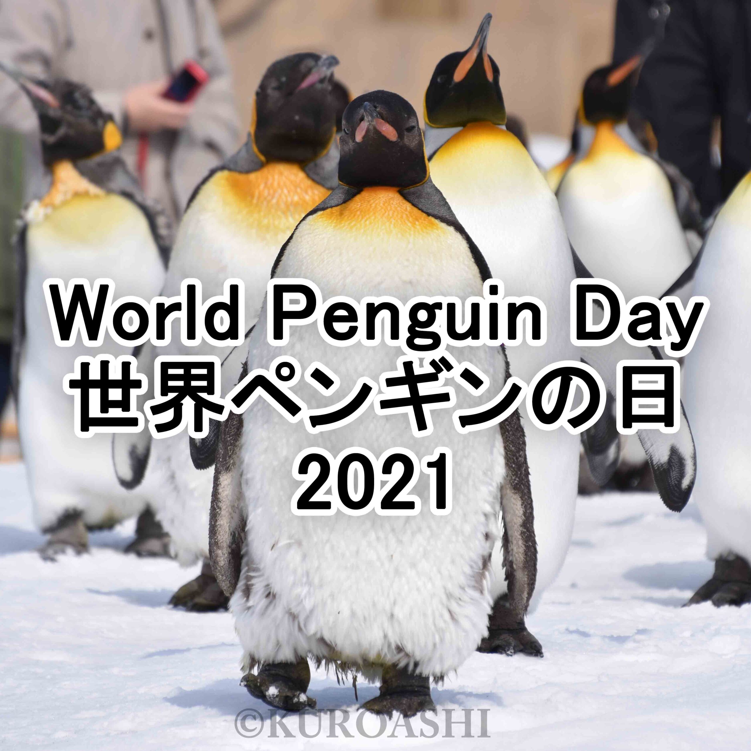 世界ペンギンの日2021